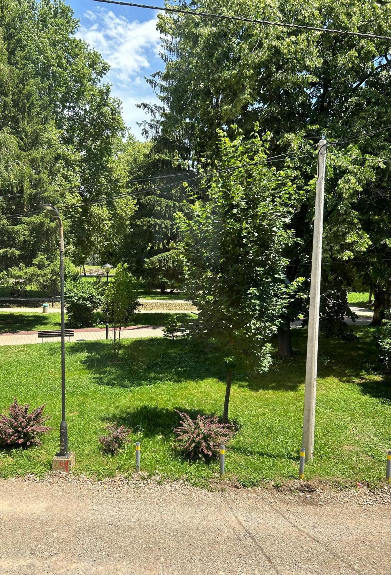 Vila Markovic-A Sokobanja Zimmer foto